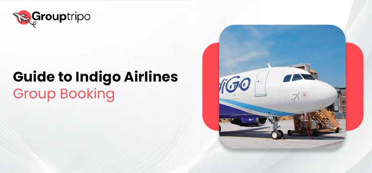 Indigo Airlines Group Booking