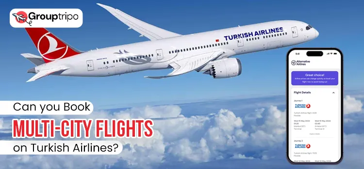 Can you Book Multi-City Flights on Turkish Airlines